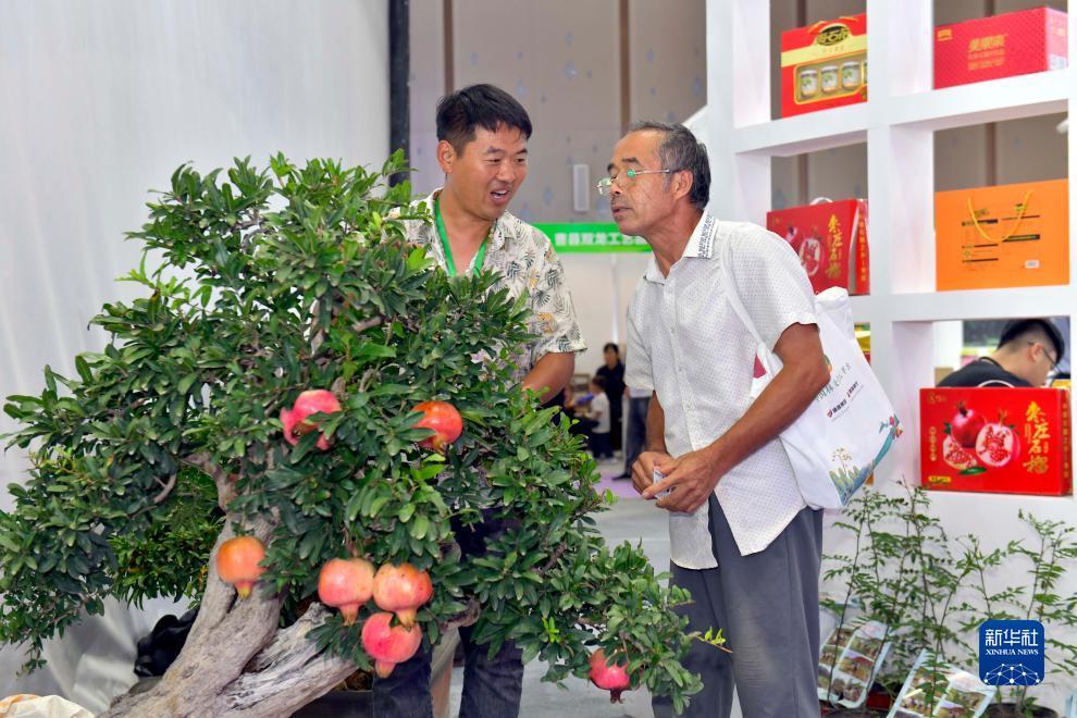 澳门盘下载